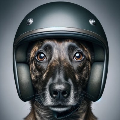 📸🏍🐕🐈🐈‍⬛ Words like violence. Break the silence. Photos, videos...all sorts of crap.