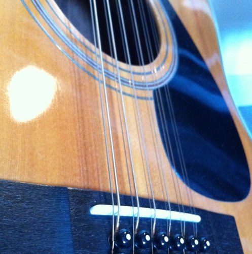 ridesonsnow's profile picture. 