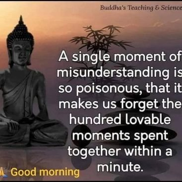 quinn38459's profile picture. Creating ripples of positivity and karma.