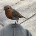 Davy (@davy1865) Twitter profile photo Davy (@davy1865) Twitter profile photo