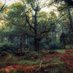 Sean Murphy (@artofseanmurphy) Twitter profile photo Sean Murphy (@artofseanmurphy) Twitter profile photo