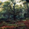 artofseanmurphy's profile picture. A passionate photographer, an amateur filmmaker, a budding reader, and an opinionated cinephile but most importantly Irish