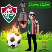 Paulo Vidal(@PauloHVidal) 's Twitter Profileg
