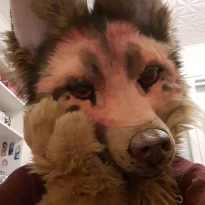 🇫🇷🇭🇹🇩🇪
Cosplay/Furry/Puppy/Author 
Therian/DID/ADHD/21 y
Tiktok : theminifu,off/ Marshall,therian
Insta: TheMiniFu/ Mars,hall,sh
I Love octonitrocubane