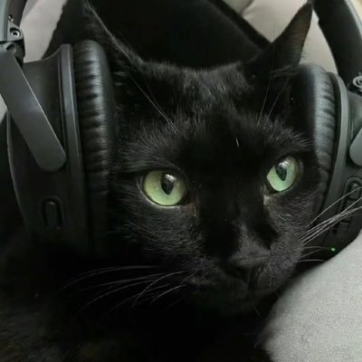 ha_mpu50222's profile picture. 在郑州，男大 175/65/公0 找粗大猛1。喜欢大 🍆 喜欢各种刺激。QQ：744741723