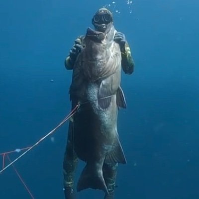 pescador submarino de todos los mares del mundo. Erreala eta Deba bihotzean!Pelota zalea.Angulero sin angulas.He plantado más árboles que todos los ecologetas!