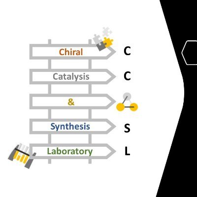 Chiral Catalysis and Synthesis Laboratory (CCSL)
(Student-Run twitter account)