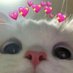 ♡t0siaa__♡ (@t0si4a_) Twitter profile photo ♡t0siaa__♡ (@t0si4a_) Twitter profile photo