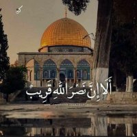Eltayeb¹⁴ 🇵🇸 (@mahmoudeltayebb) 's Twitter Profile