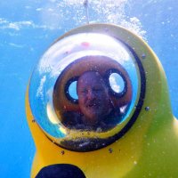 J Wilhelm (@jaywilhelm3609) 's Twitter Profile