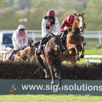 Having a Mare Syndicate (@havingamare2015) 's Twitter Profile