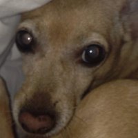 Nancy 73 (@ciceronemio) 's Twitter Profile Photo Nancy 73 (@ciceronemio) 's Twitter Profile Photo