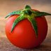 Tomato (@ikar_uss) Twitter profile photo Tomato (@ikar_uss) Twitter profile photo