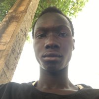 Hamidou Bah (@hamidoubah45502) 's Twitter Profile