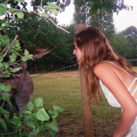 Julia (@juliaagries) 's Twitter Profile