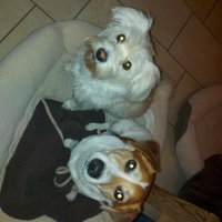 Arch_Bishop (@pegr1969) 's Twitter Profile Photo