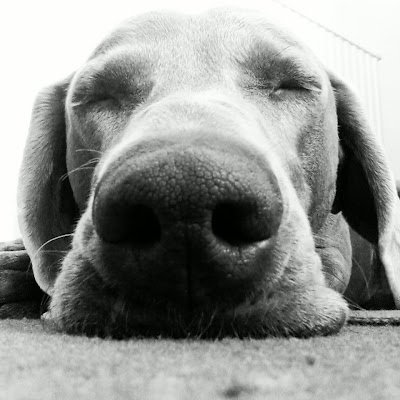 HALFABEE69's profile picture. 