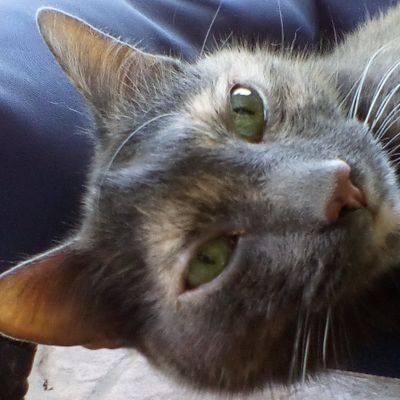 NToot46119's profile picture. 