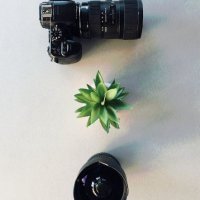 Josefina Johnson (@johnsonjos28394) 's Twitter Profile