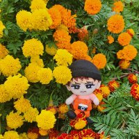 tomo (@tomokoji062123) 's Twitter Profile Photo