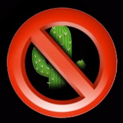 Never once been at peace. also if this is a cactus reading this ur selfish and I hate you!!! Offical Anti-cactus activist. #endcactus
