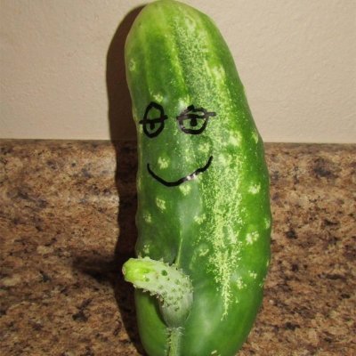 PicklesOf99259 Profile Picture