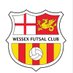 Wessex Futsal Club (@WessexFutsal) Twitter profile photo