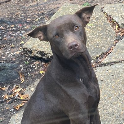 EnglishTer16590's profile picture. Entertain | video and editing | pornstar video shooter 🩵