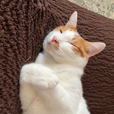 日本保守党党員です。日本を豊かに強く。 日本保守党と日本保守党を応援する人を応援します。宜しくお願いします😊