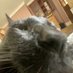 robin (@robin_rawcliffe) Twitter profile photo robin (@robin_rawcliffe) Twitter profile photo