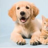 We're your one-stop shop for all your pet's needs! We offer grooming, boarding, & walking services, as well as a wide selection of pet supplies. #pets #petcare