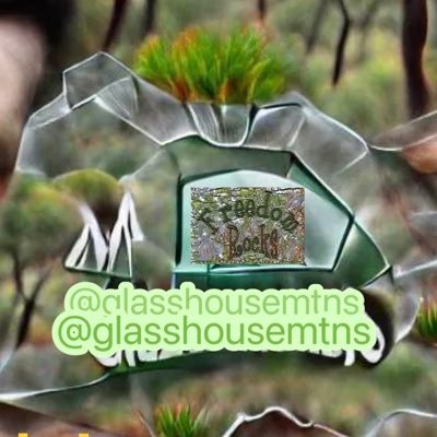 @odcctv #VirtualWindow #ambience videos can be watched at https://t.co/ghALTImqwj - please subscribe to both channels, help us grow to live stream !