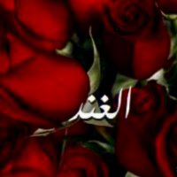 الغند (@algand2022) Twitter profile photo