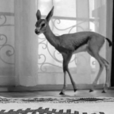 1__771's profile picture. ثرثار في كل الكلام , إلا اللي يجول في خاطره.