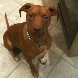 Collin_Ray1's profile picture. 