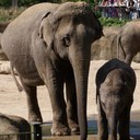 Mario Hassel - @MarioHassel - Twitter