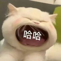 坐标022天津 4i 四爱选手 喜欢被羞辱 虐待 打屁股 xp很多 有自己的锁 欢迎骚扰!!!