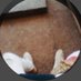 Shermandc (@shermandc164231) Twitter profile photo Shermandc (@shermandc164231) Twitter profile photo