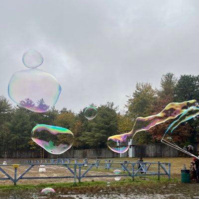 flyinglessons33's profile picture. wild awake 🫧 they/them