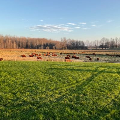 Auctioneer and co owner of Keady Livestock. Cow/calf and backgrounding operation