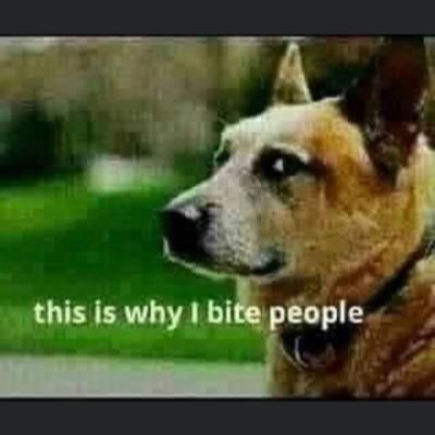 N0VFS's profile picture. Constitutionalist.  Your personal sexual preferences is between you and another consenting adult. Leave children alone!