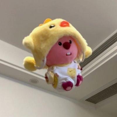 wili_hatemath's profile picture.
