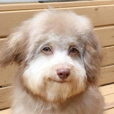 20 y/o Tr@nsG1rL.
PVPp\/g1rL
           /