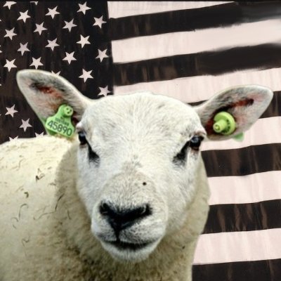 SheepTok's profile picture. PhD in farting and sarcasm.
Pronouns: my/us
no followers goodbye