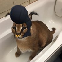 . (@brawlfloppa1) 's Twitter Profile
