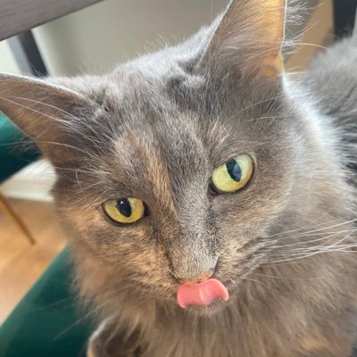 crawdad777's profile picture. x