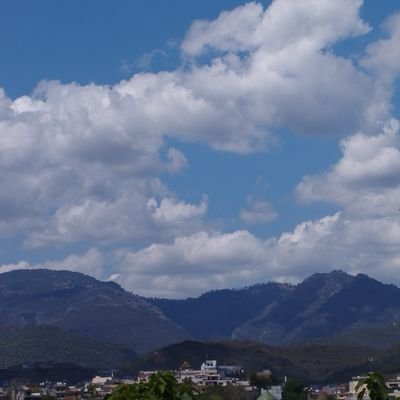 Shahmee52754283's profile picture. 