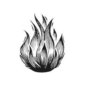 guillermoinj's profile picture. Librero en @libremurcielaga