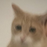 Soullux (@soullenator) 's Twitter Profile