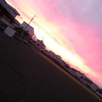 たき (@sirataki_4689) Twitter profile photo